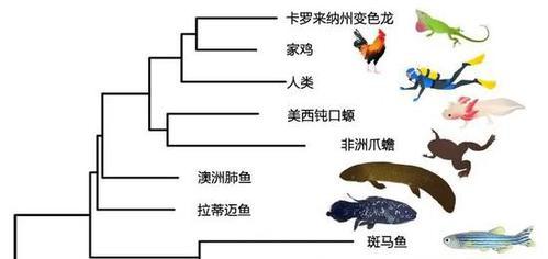 进化之地：矿洞水坑宝箱攻略