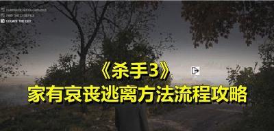 《以杀手3非法入侵判断标准》（如何判断《以杀手3》中的非法入侵行为）